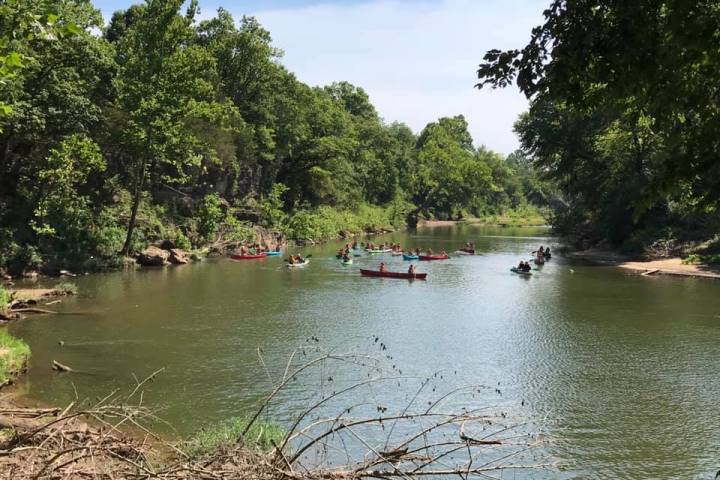 a small boat in a body of water surrounded by trees