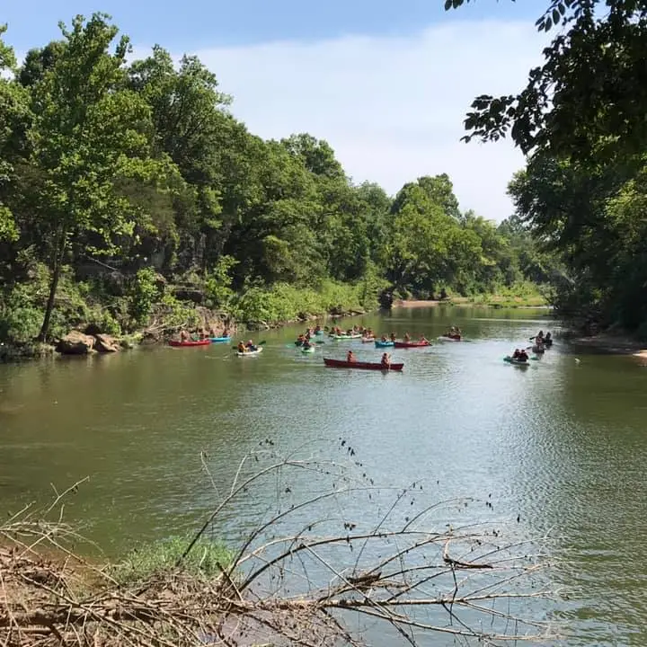 a small boat in a body of water surrounded by trees