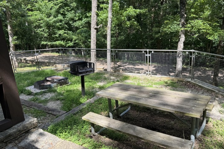 Wooden picnic table near grill in forested park area.