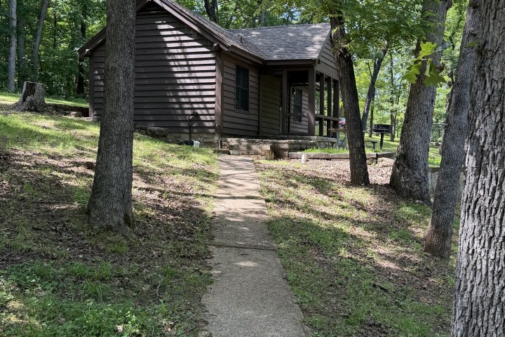 A cabin in the woods with a concrete path leading to it.