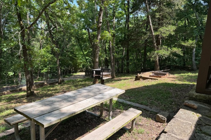 Picnic table and grill in a forested area with trees and a clear sky.
