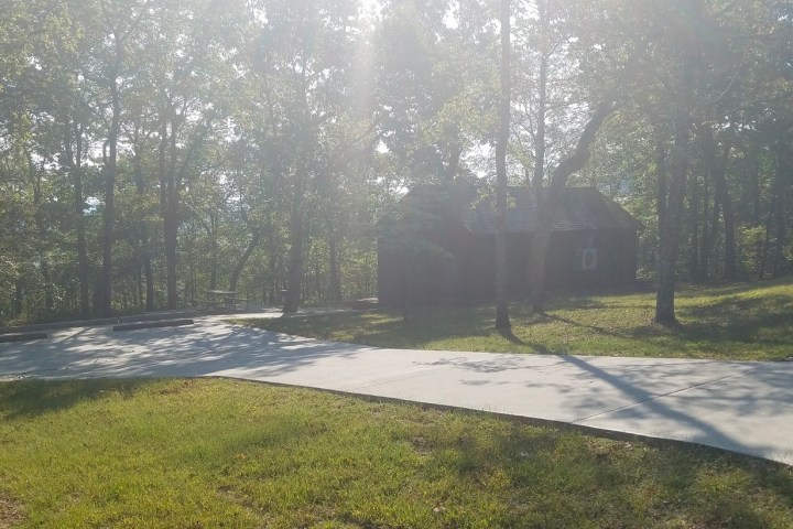 a path with trees on the side of a tree