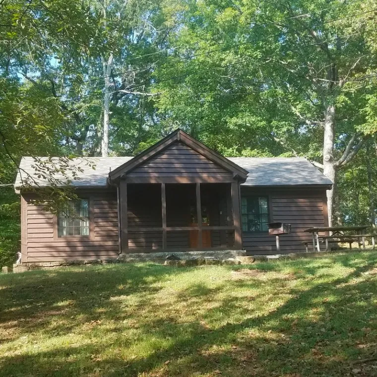 a house in the middle of a forest