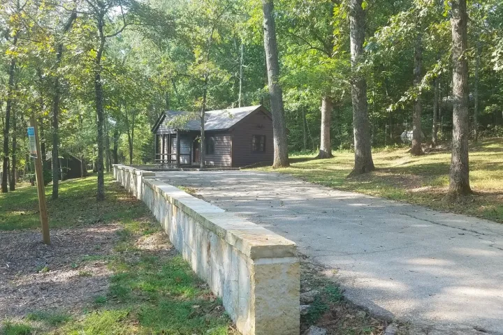 a path surrounded by trees