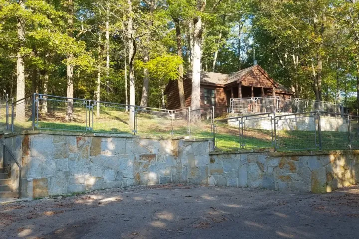 a tree in a fenced in area