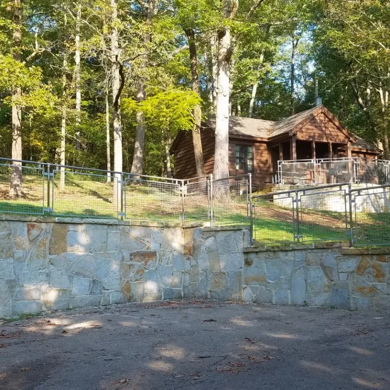 a tree in a fenced in area