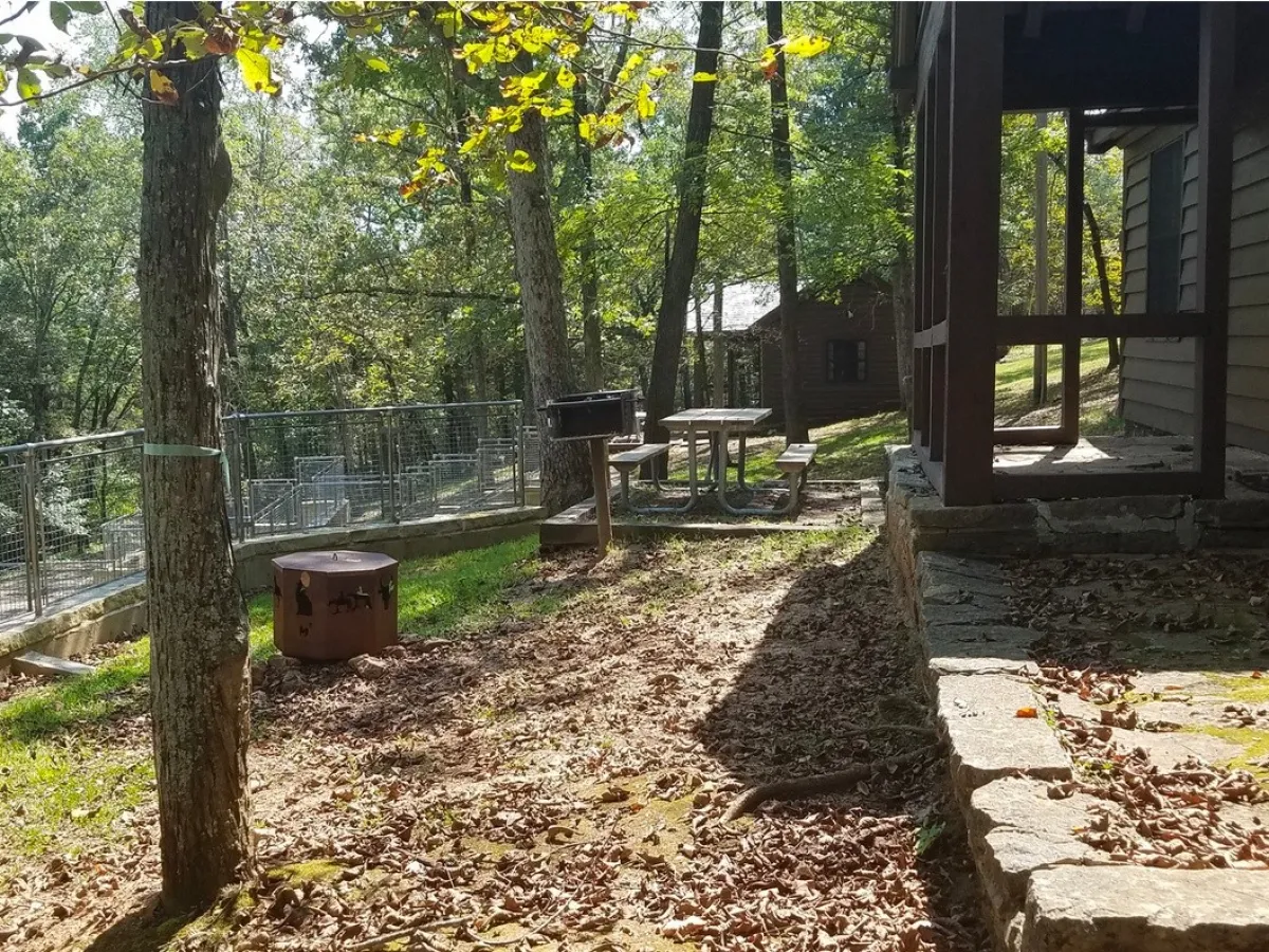 a close up of a garden