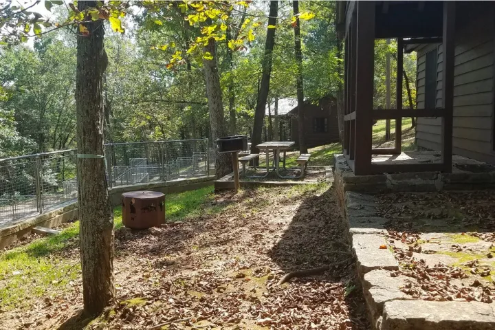 a close up of a garden