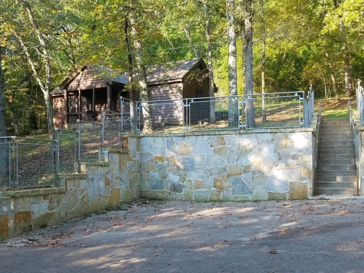 a tree in a fenced in area