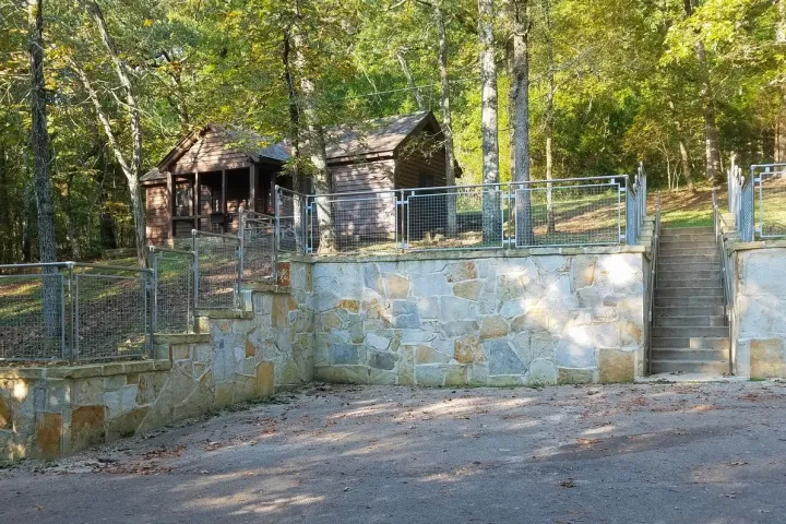 a tree in a fenced in area