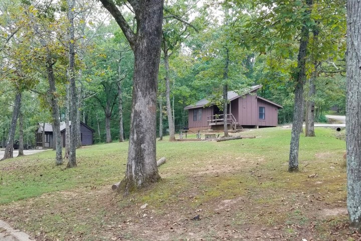 a path with trees on the side of a building