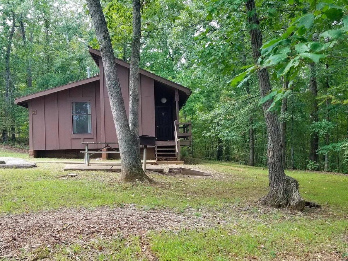 a tree in front of a house
