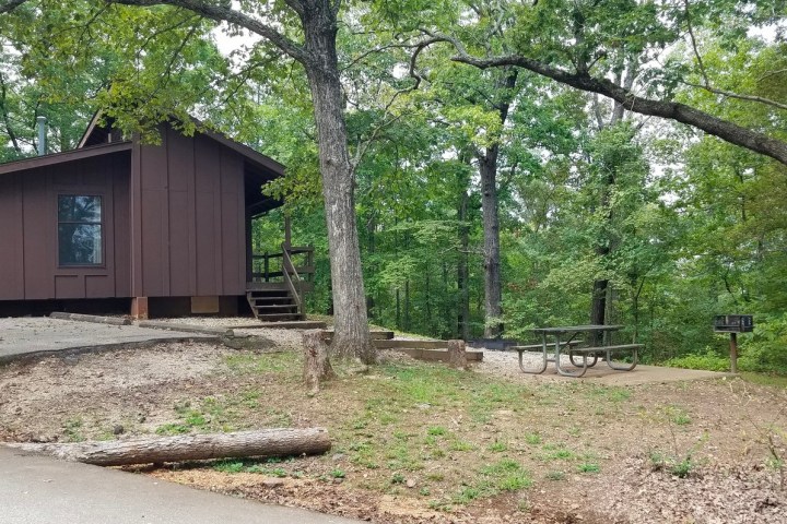 a small house in a tree