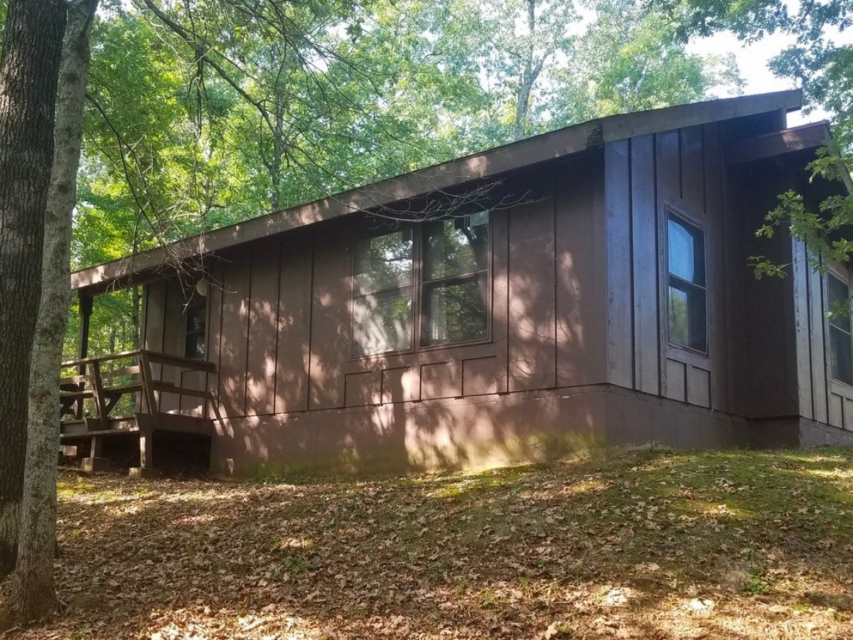 a tree in front of a house