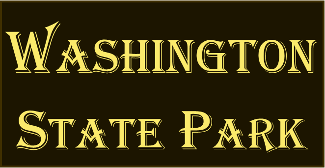 a close up of a book