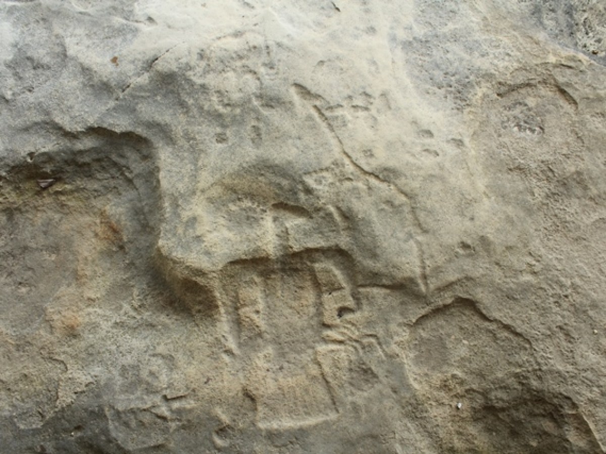 a close up of a rock